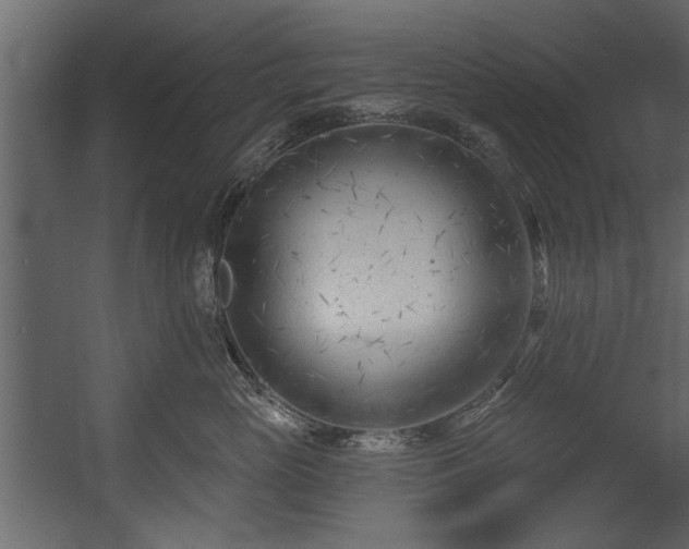 X0000054420765200508011357
