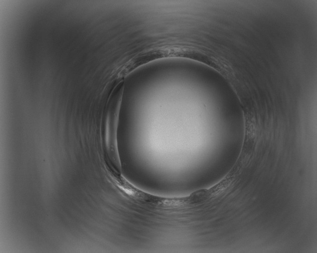 X0000054420766200508011357