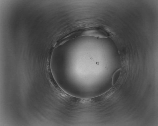 X0000054420767200508011357