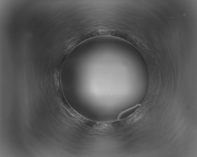 X0000054420768200508011357