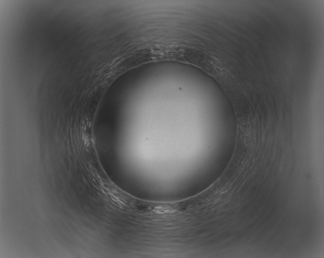 X0000054420770200508011356