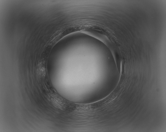 X0000054420771200508011356