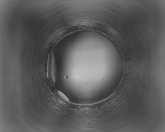 X0000054420774200508011356