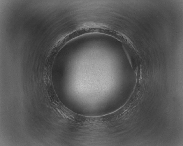 X0000054420775200508011356