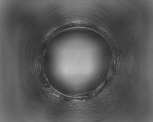 X0000054420776200508011356