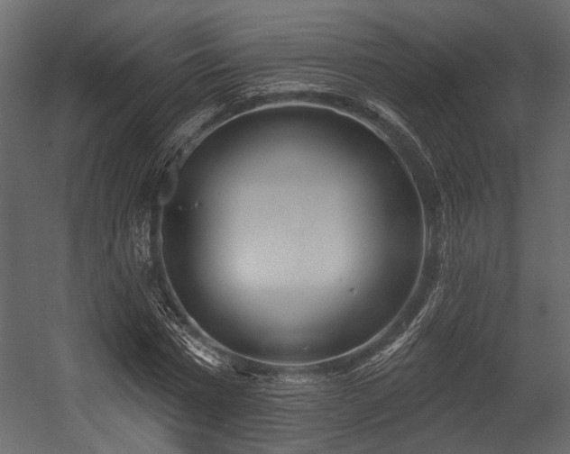 X0000054420777200508011356