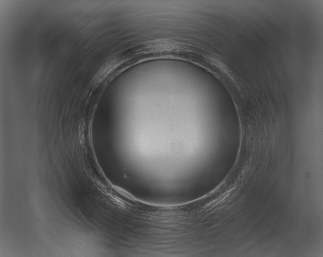 X0000054420778200508011356