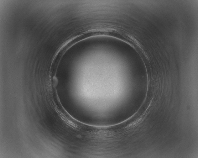 X0000054420779200508011356