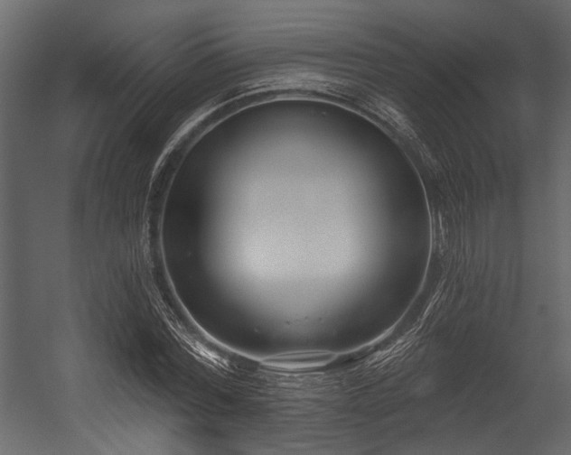 X0000054420780200508011356