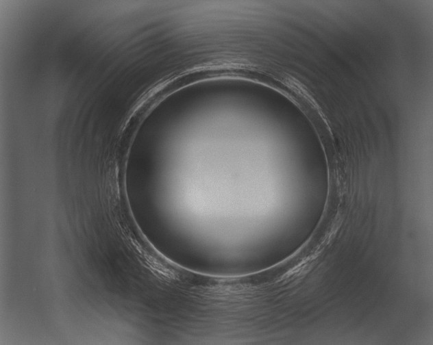 X0000054420781200508011356