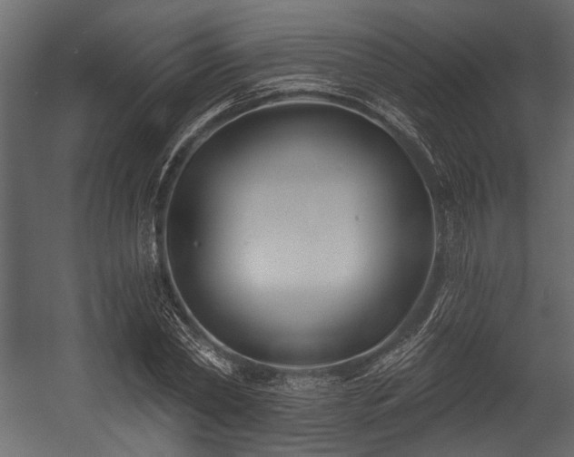 X0000054420782200508011356