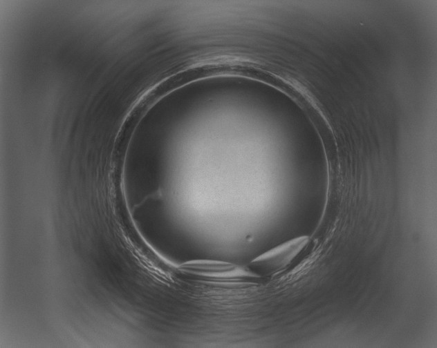 X0000054420783200508011356