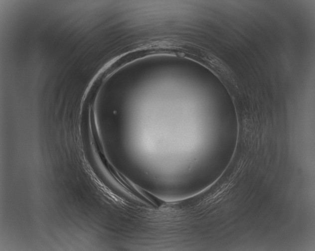 X0000054420784200508011356