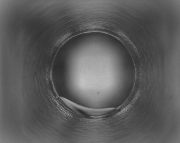 X0000054420785200508011356