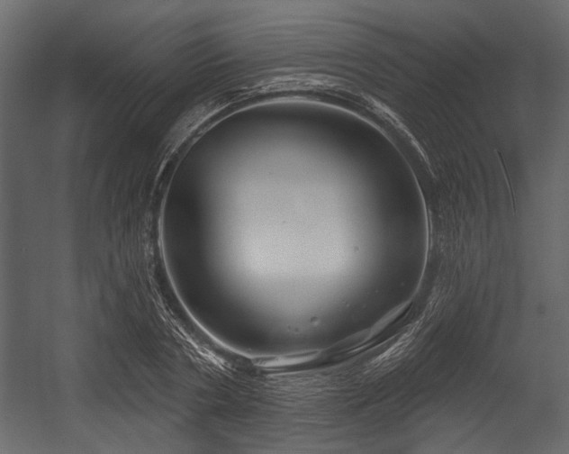 X0000054420786200508011356