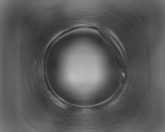 X0000054420787200508011356