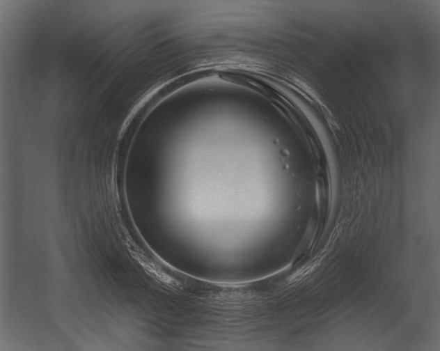 X0000054420788200508011356