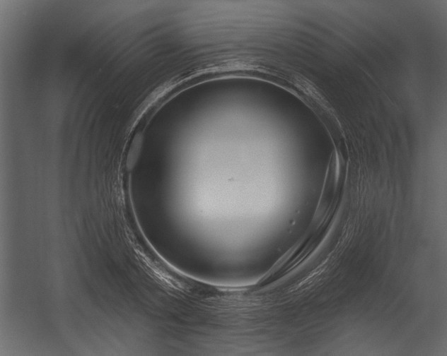 X0000054420789200508011356