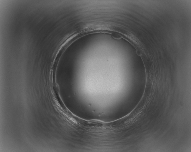 X0000054420790200508011356