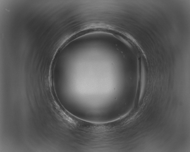 X0000054420791200508011356