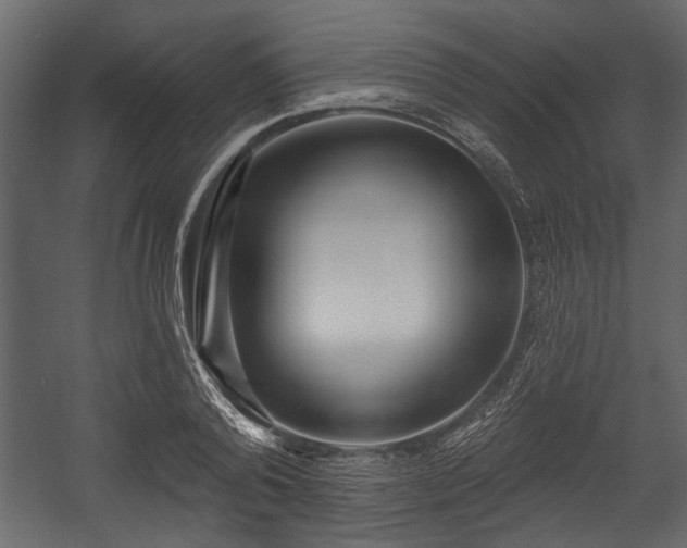 X0000054420792200508011356