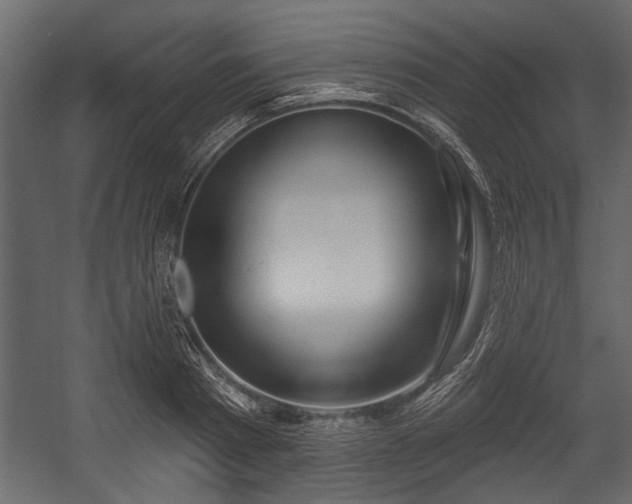 X0000054420793200508011356