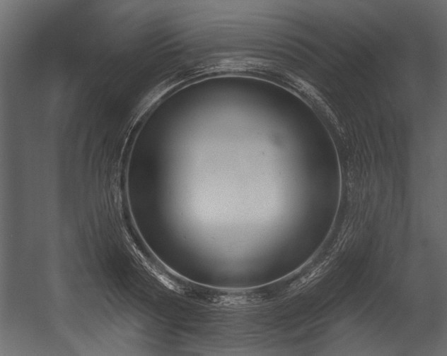 X0000054420794200508011356