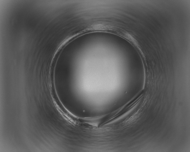 X0000054420795200508011356