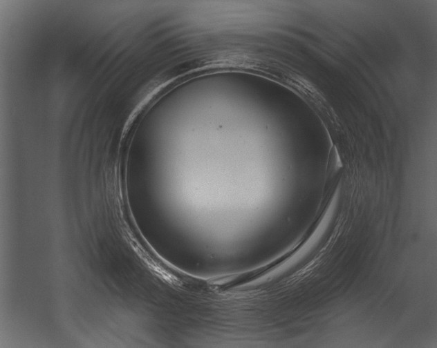 X0000054420796200508011356