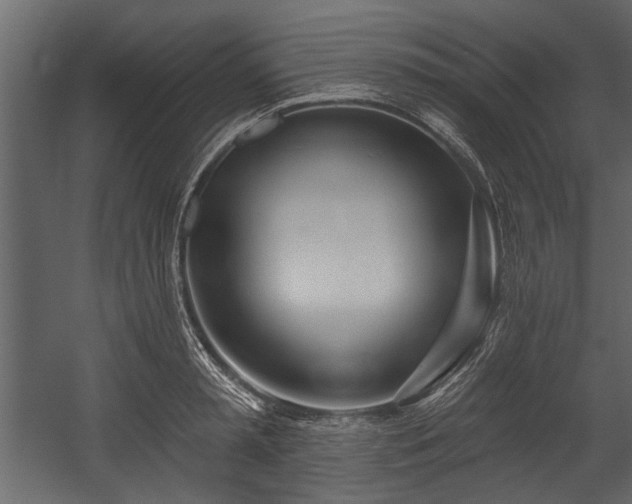 X0000054420797200508011356