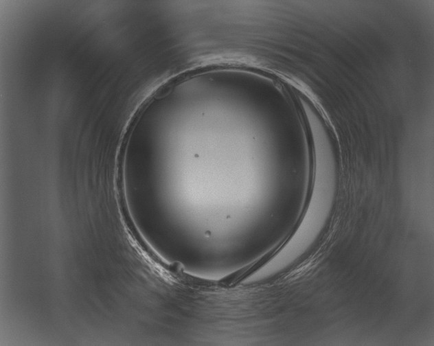 X0000054420799200508011356