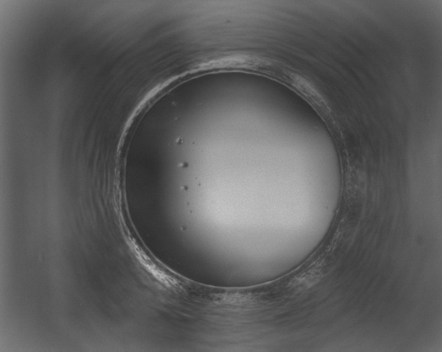 X0000054420800200508011356