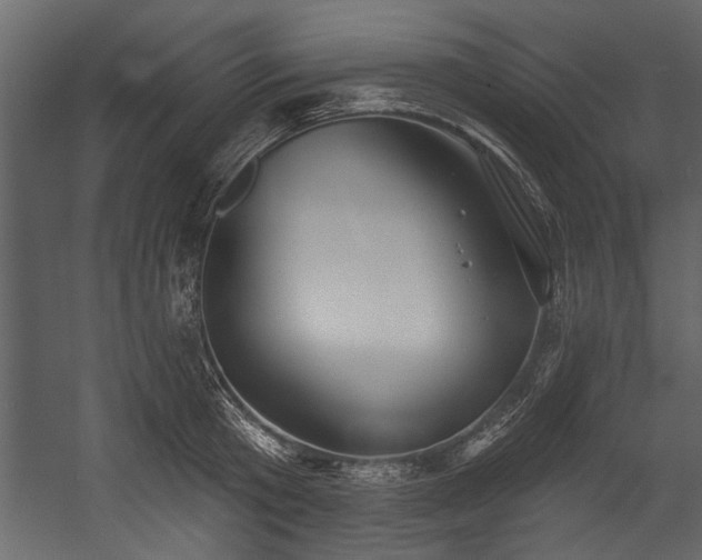 X0000054420801200508011356