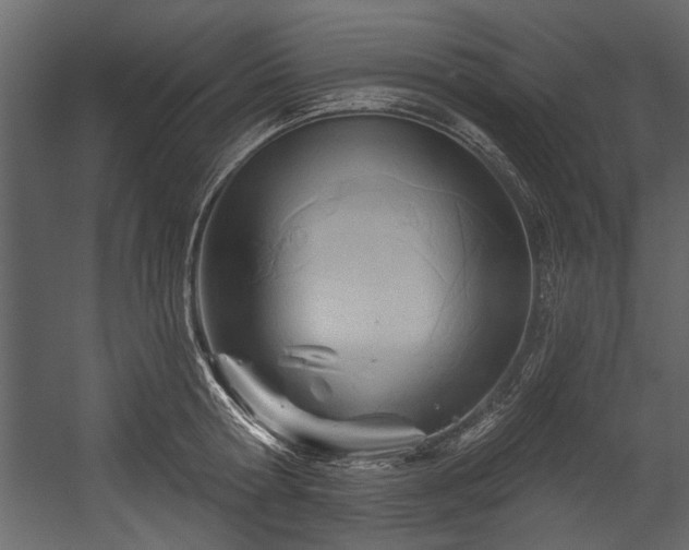 X0000054420802200508011356