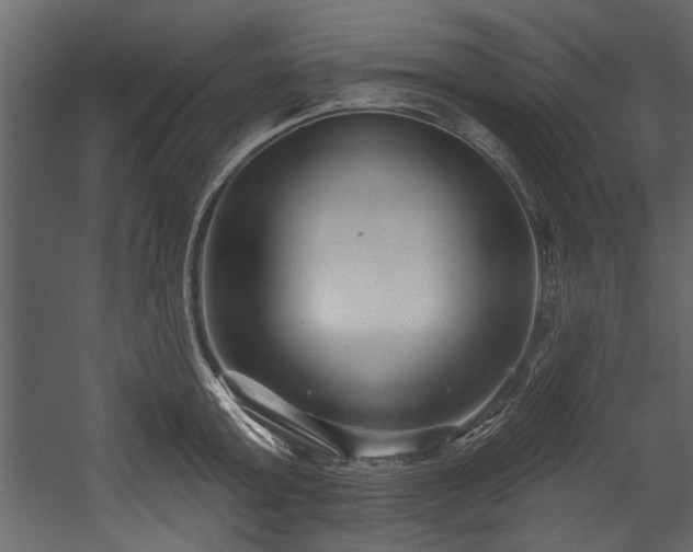 X0000054420803200508011356