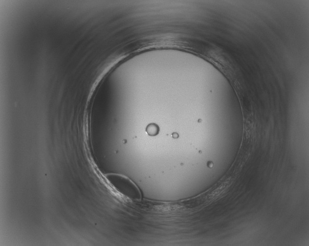 X0000054420804200508011356