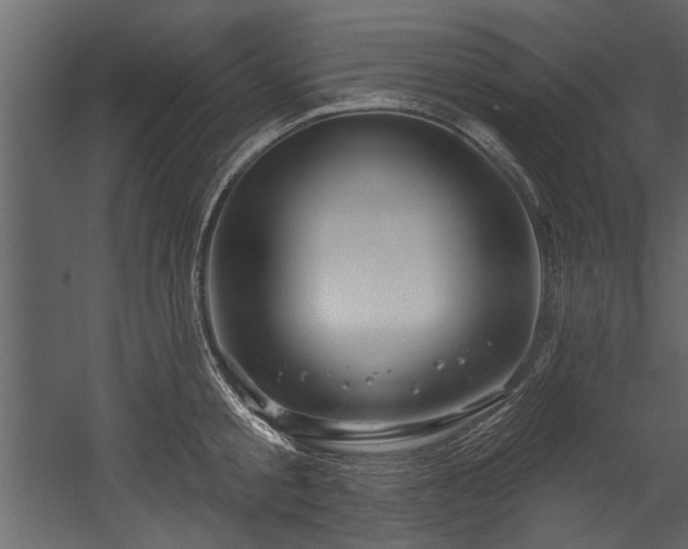 X0000054420805200508011356