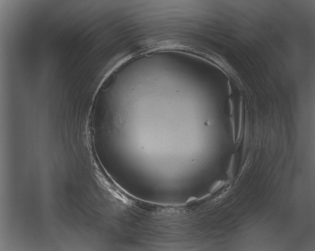 X0000054420806200508011356