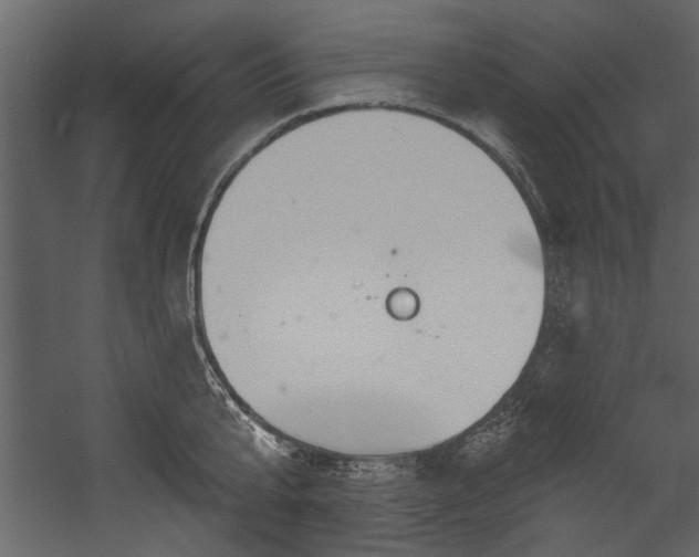 X0000054420807200508011356