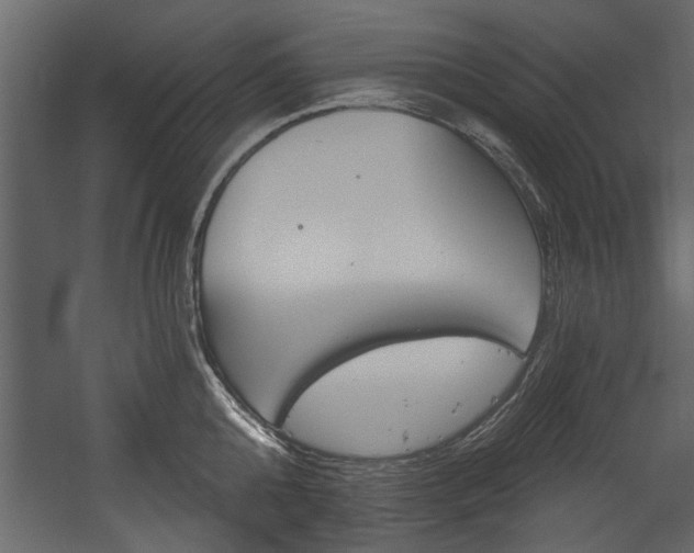 X0000054420808200508011356