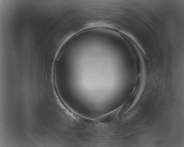 X0000054420815200508011356