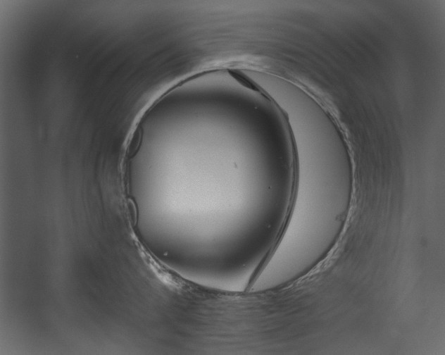 X0000054420816200508011356