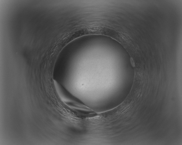 X0000054420817200508011355