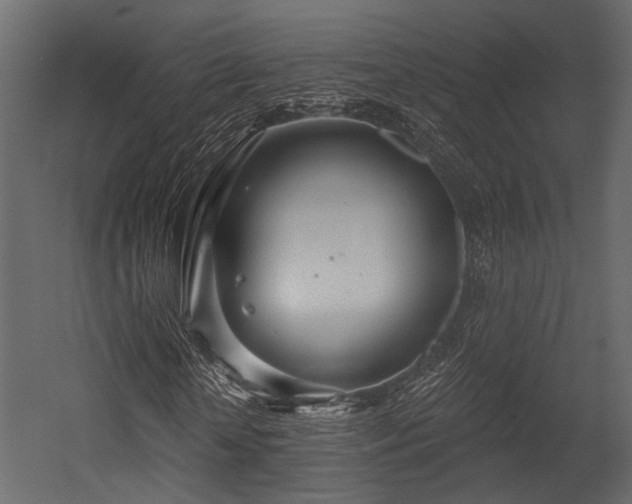 X0000054420818200508011355