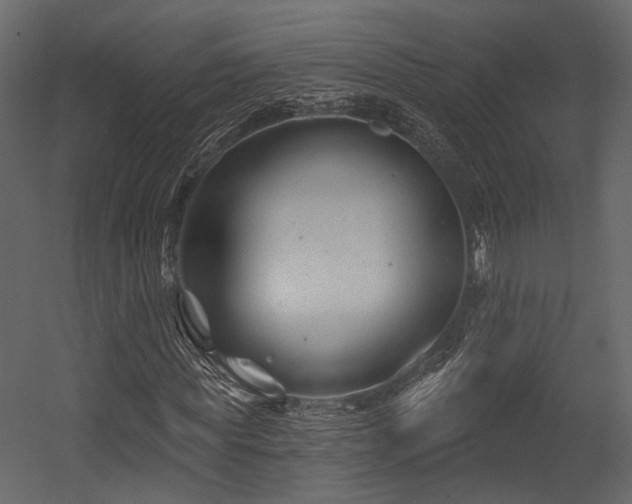 X0000054420819200508011355