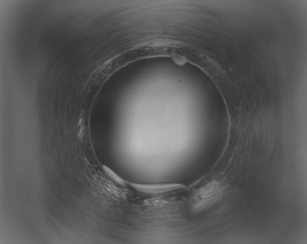 X0000054420821200508011355