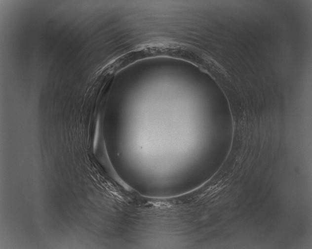 X0000054420822200508011355