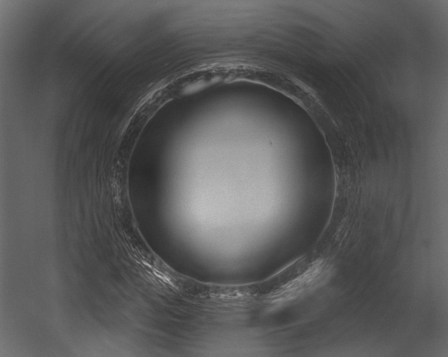 X0000054420823200508011355