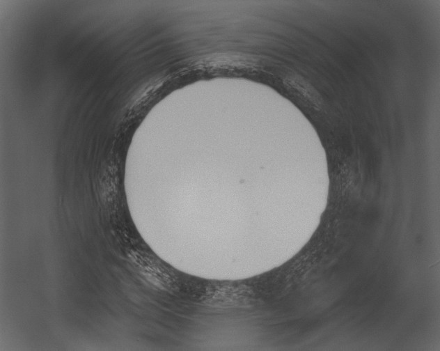 X0000054420824200508011355