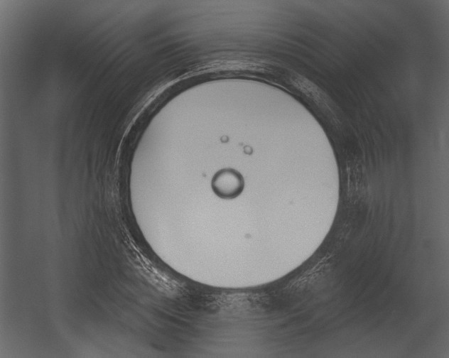 X0000054420828200508011355